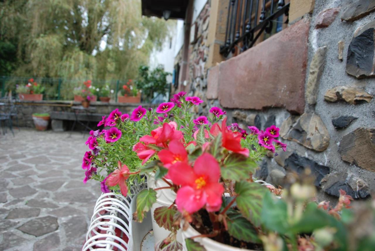 Hostal Rural Donamariako Benta Exteriér fotografie